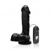 6 inches Cock Balls, Vibrating Egg & Suction Cup Black